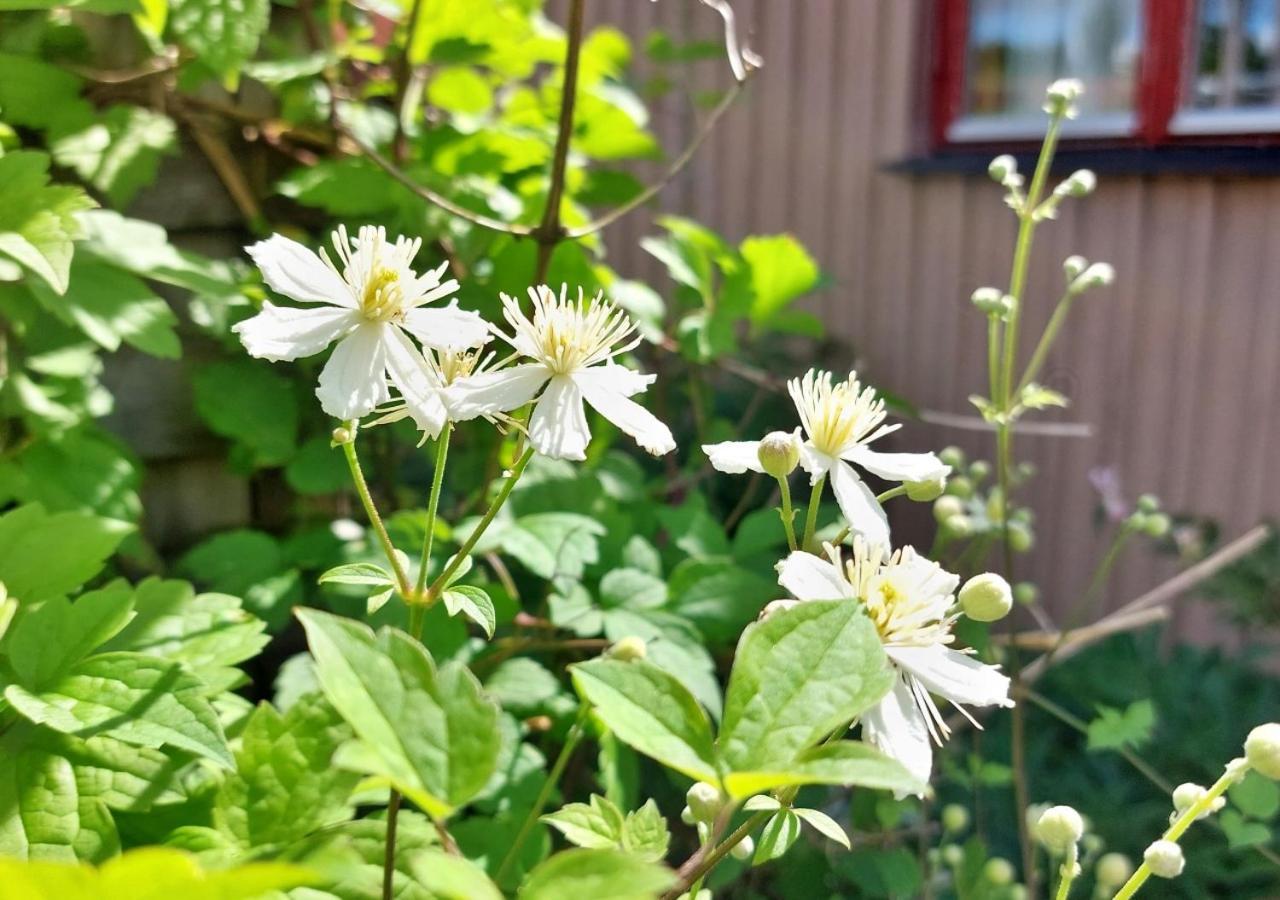 Alingsås Flora Dekor Gaestgardゲストハウス エクステリア 写真