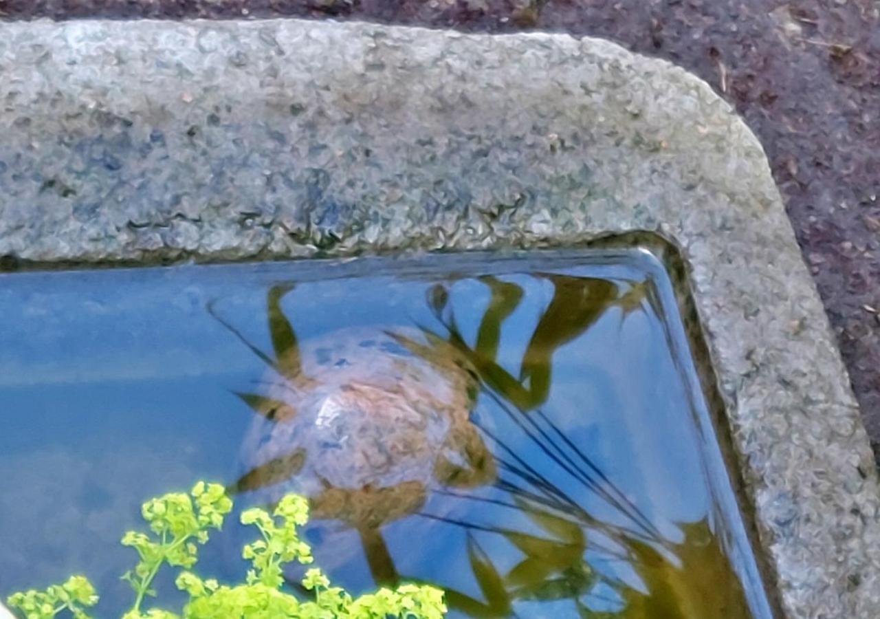 Alingsås Flora Dekor Gaestgardゲストハウス エクステリア 写真