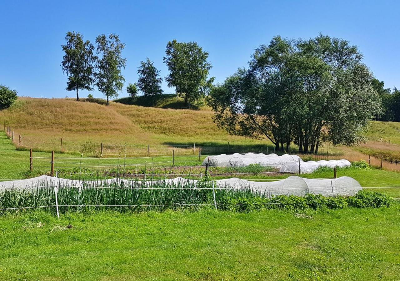 Alingsås Flora Dekor Gaestgardゲストハウス エクステリア 写真
